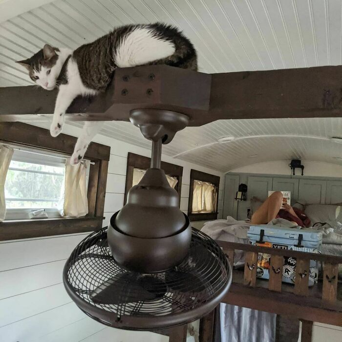 Man Lives On His Own Private Island In Florida And Here's How His Life Looks