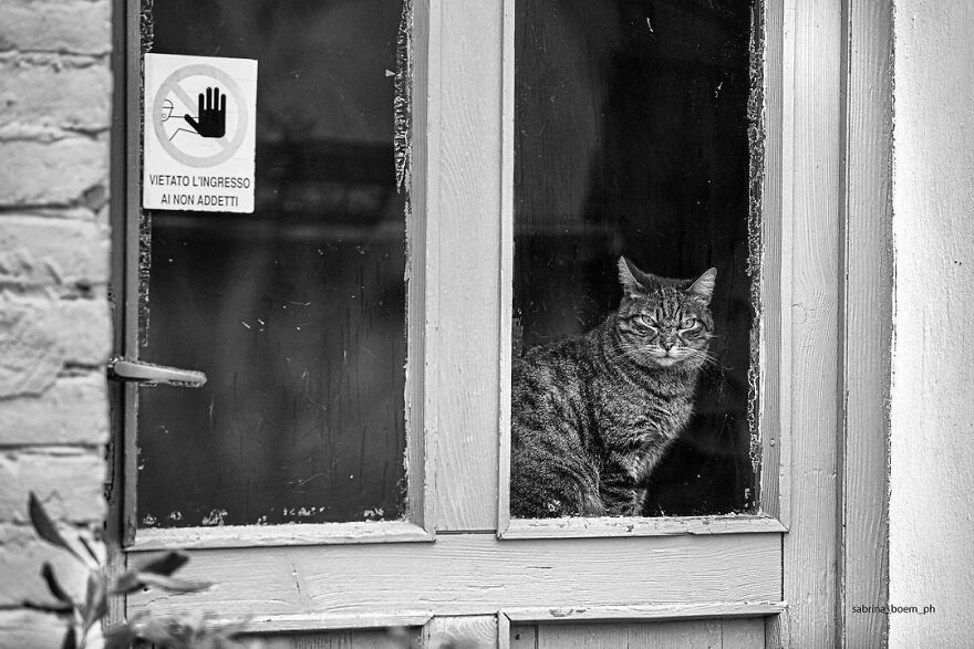 On Watch. Authorized Personnel Only