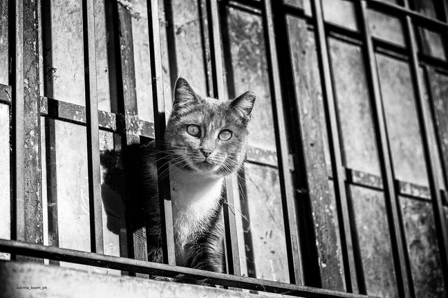 Hey!! Is Anybody Out There???