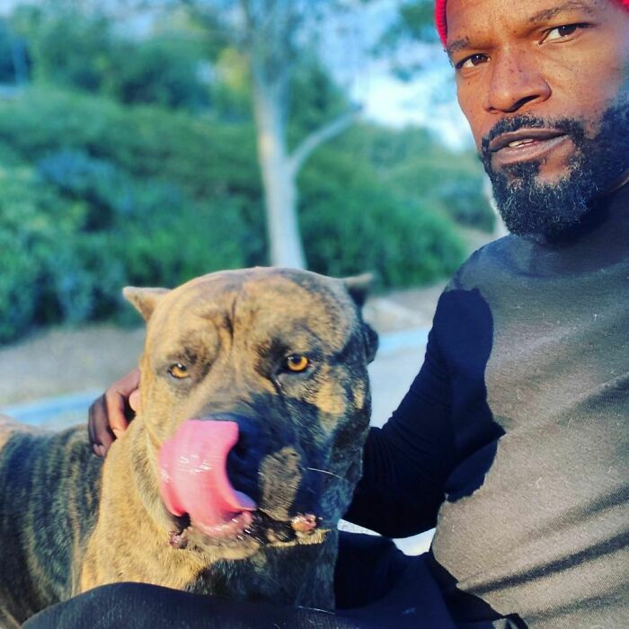 Man in a red beanie with a large brindle dog displaying immense love for dogs in an outdoor setting.