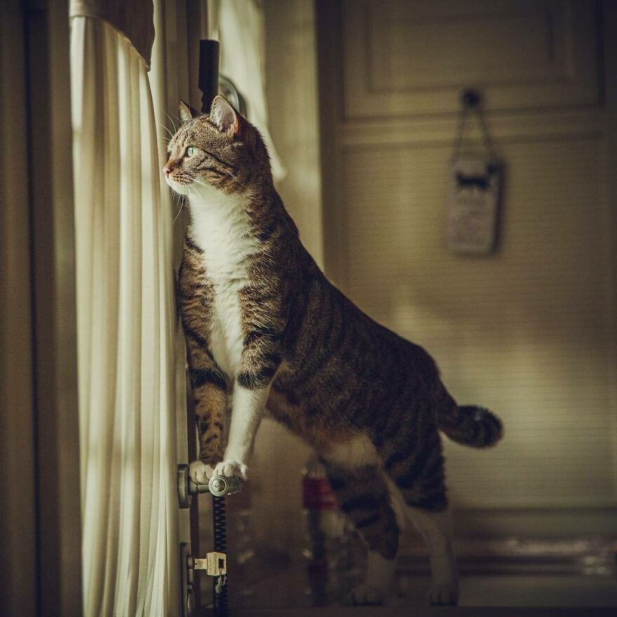 Sissi Practicing Her Favorite Sport: Birdwatching