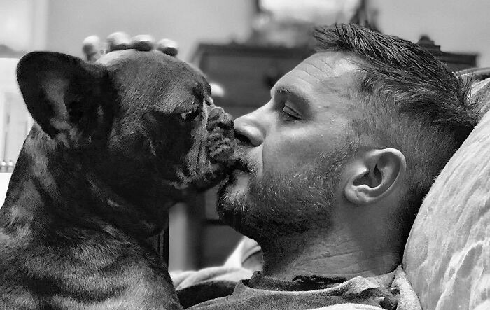 Man showing immense love for dogs by gently kissing a French Bulldog in a cozy indoor setting.