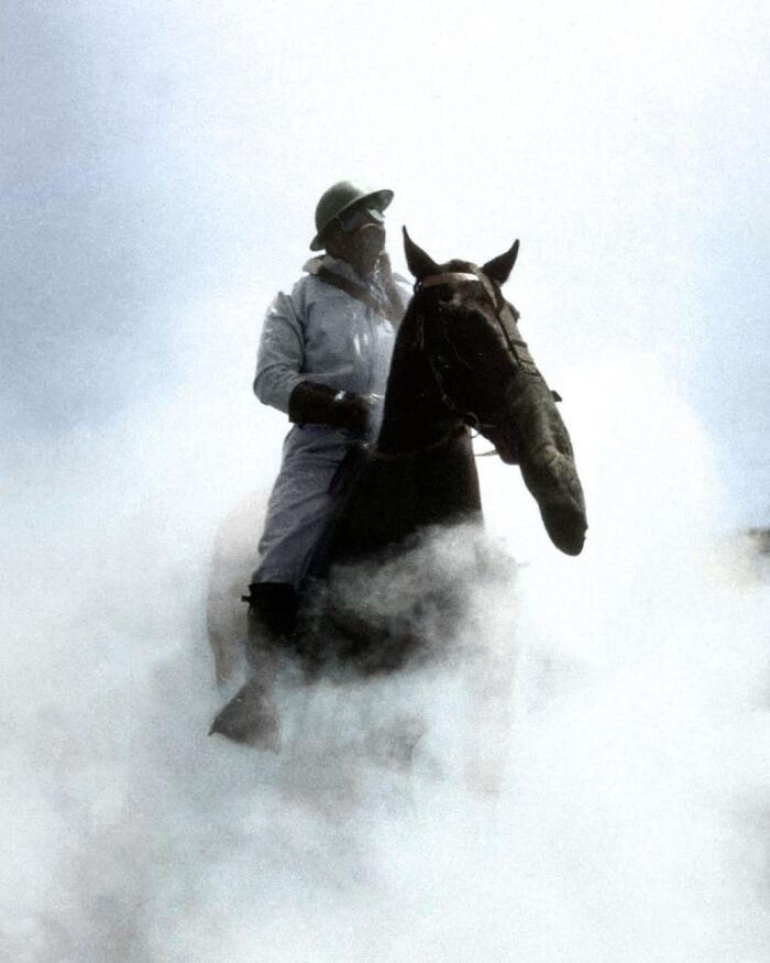 Colorized-Old-Photos-Cassowary-Colorizations