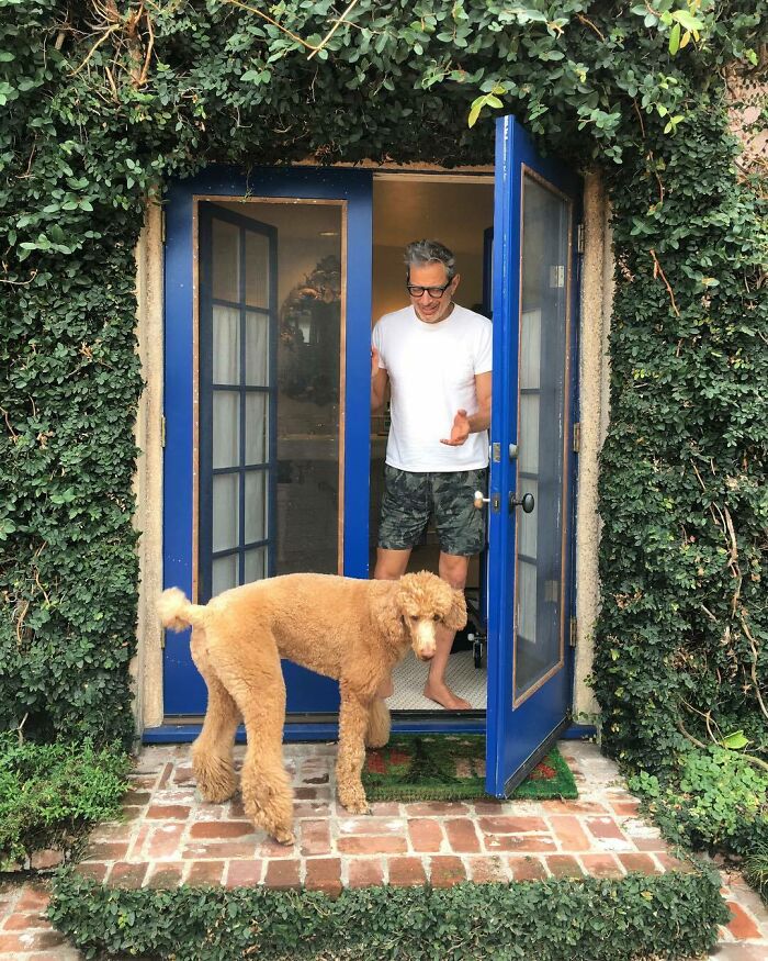 Man in casual clothes opening blue door for large poodle, showing celebrities who openly display their love for dogs.