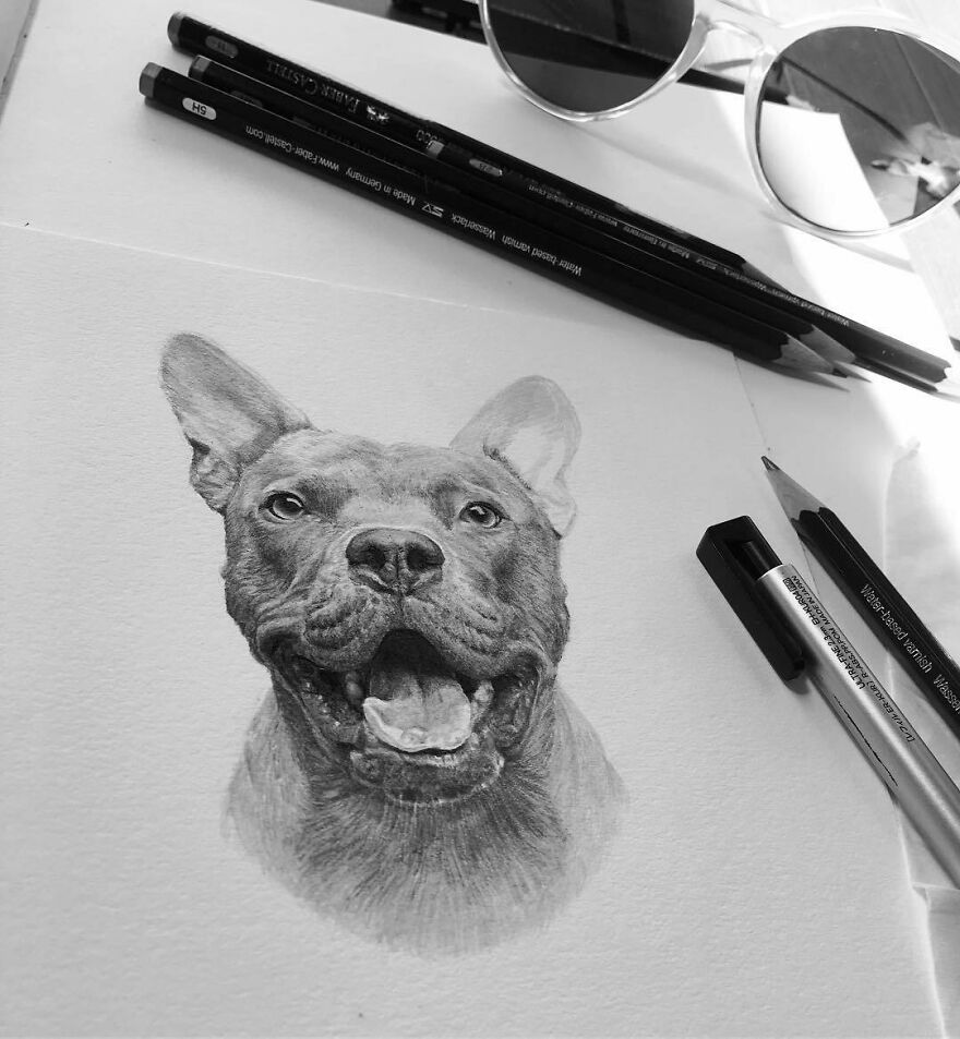 This Artist Makes Realistic Portraits Of Animals That Will Leave You Jaw-Dropping