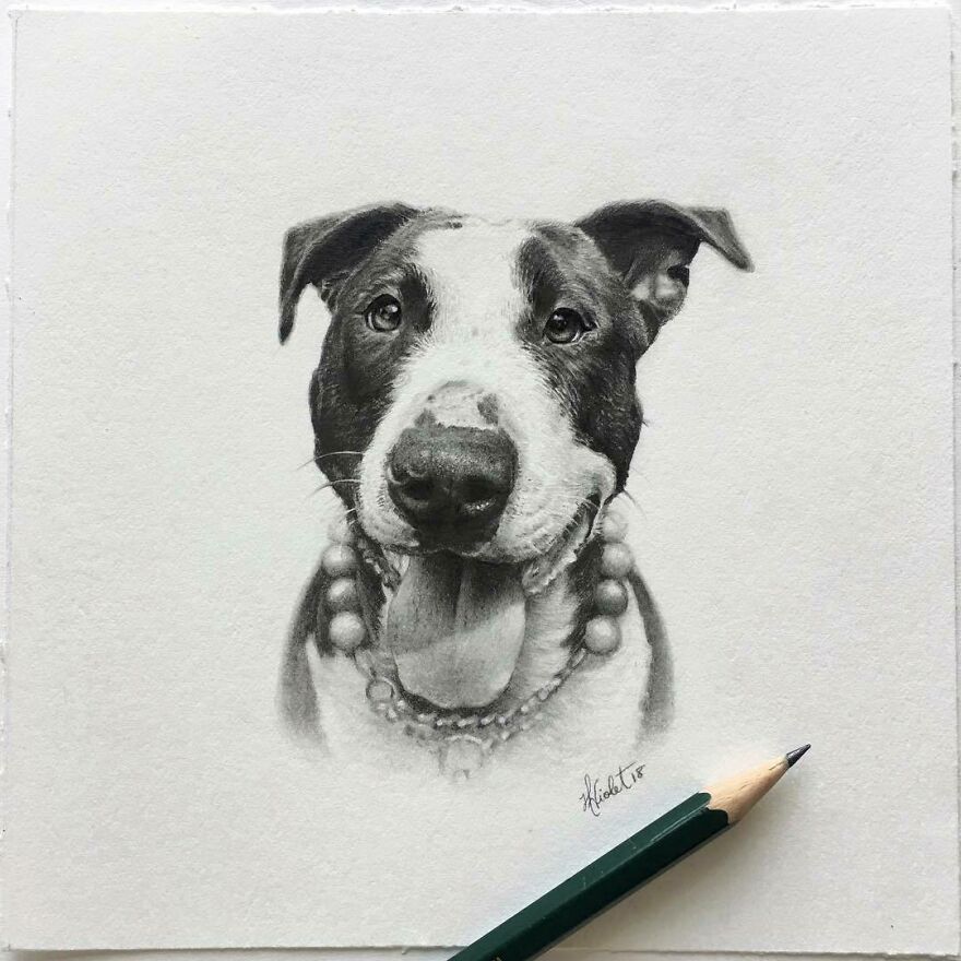 This Artist Makes Realistic Portraits Of Animals That Will Leave You Jaw-Dropping