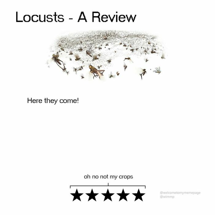 Locusts