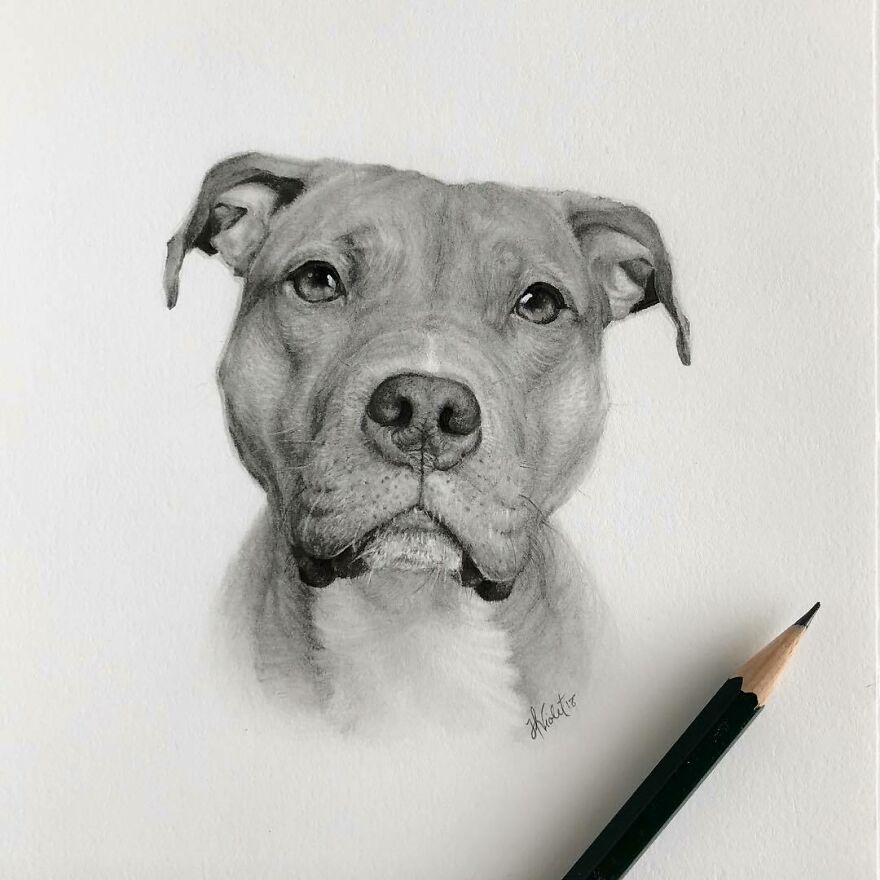This Artist Makes Realistic Portraits Of Animals That Will Leave You Jaw-Dropping