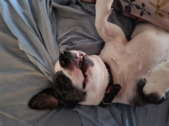 A Very Spoilt Boy, Sleeping In My Bed