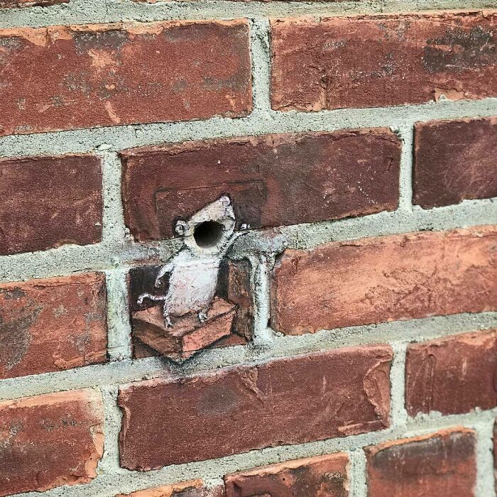 Artist Manages To Extract Life From The Streets And Walls In An Improvised And Joyful Way (New Pics)