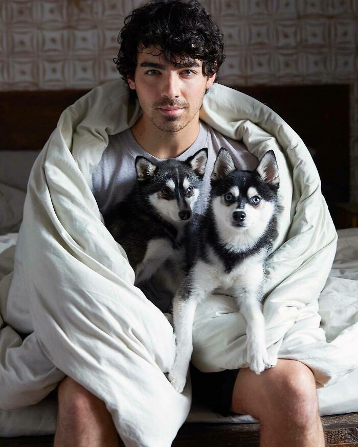 Young man wrapped in a blanket with two husky puppies sitting on his lap, showing immense love for dogs.