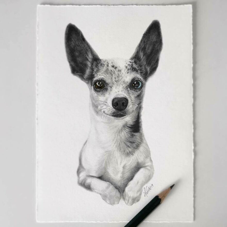 This Artist Makes Realistic Portraits Of Animals That Will Leave You Jaw-Dropping