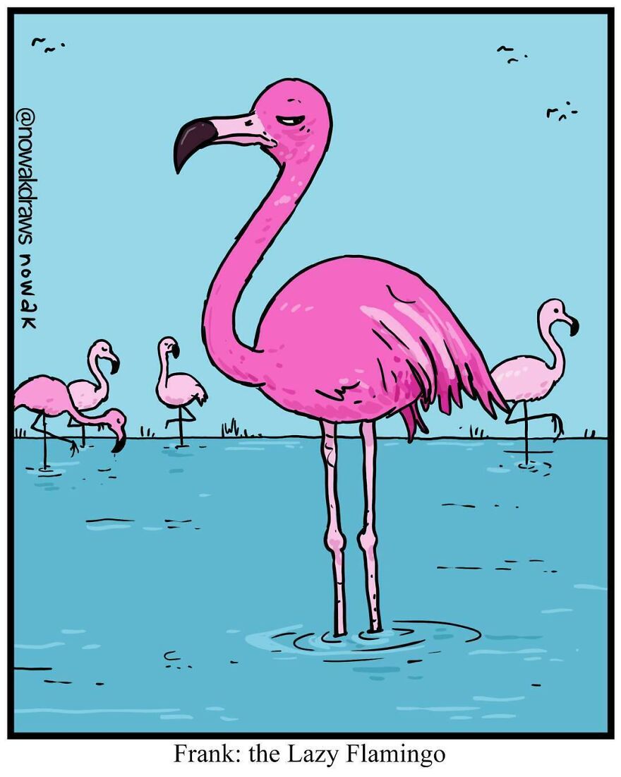 Funny-Silly-Comics-Nowakdraws