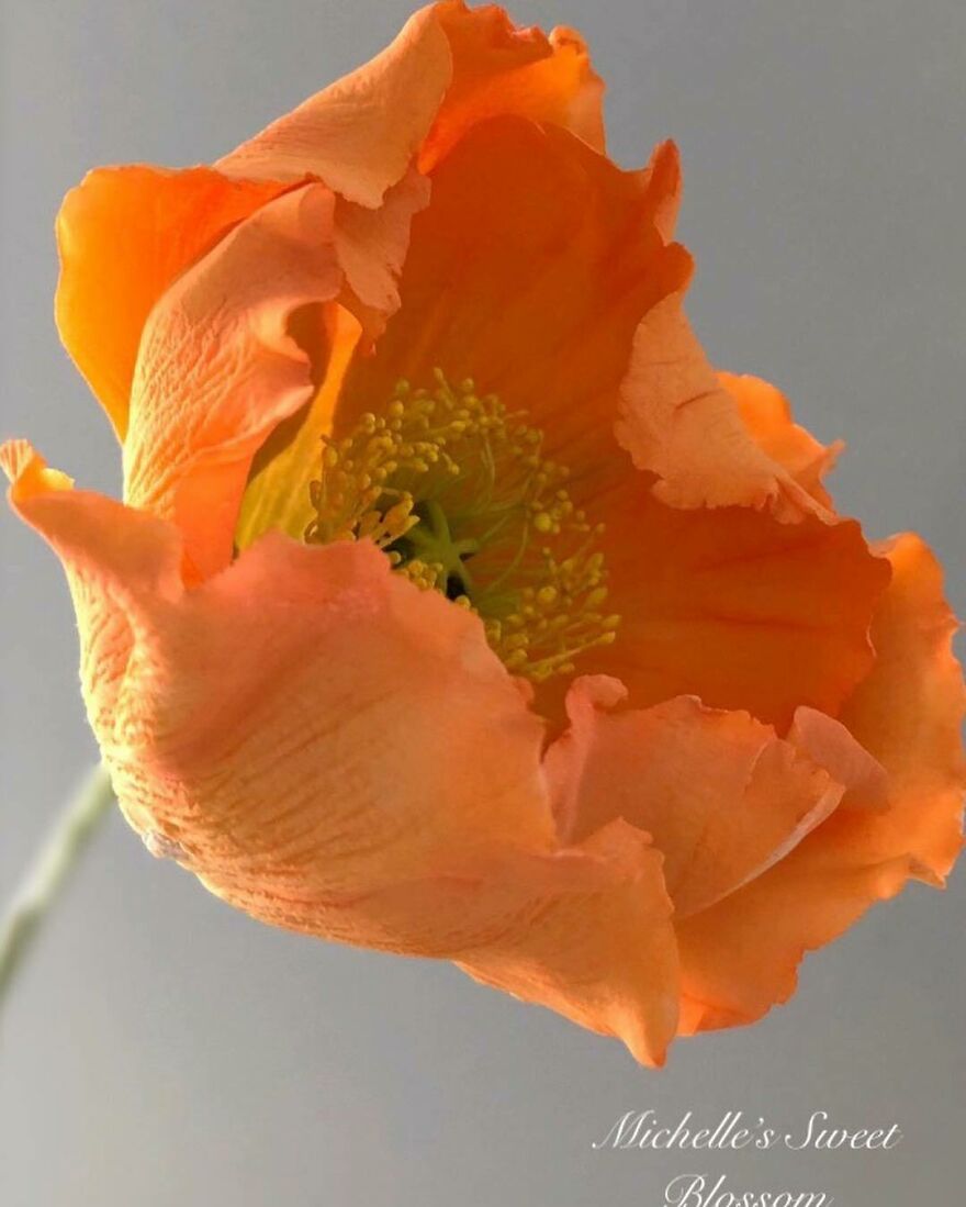 Artist Makes Amazing Realistic Sugar Flowers That Are Hard To Believe Are Not Real