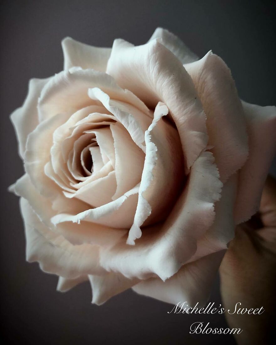 Artist Makes Amazing Realistic Sugar Flowers That Are Hard To Believe Are Not Real