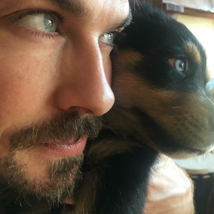 Close-up of a man and his dog sharing a tender moment, showcasing love between celebrities and their dogs.