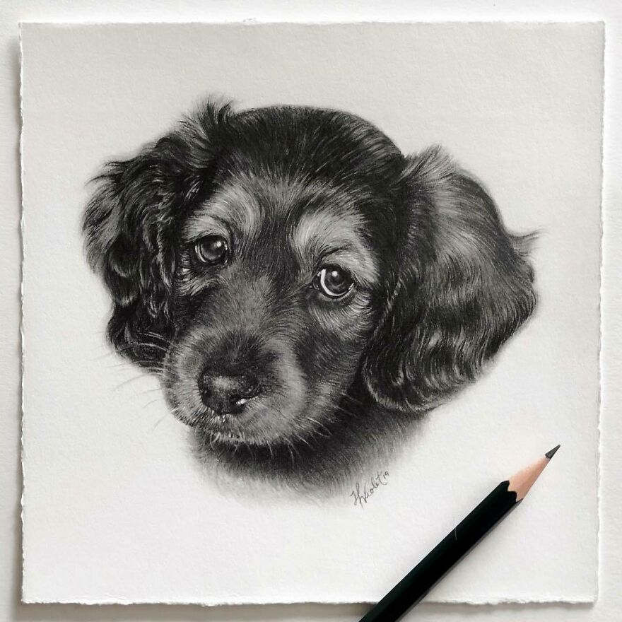 This Artist Makes Realistic Portraits Of Animals That Will Leave You Jaw-Dropping