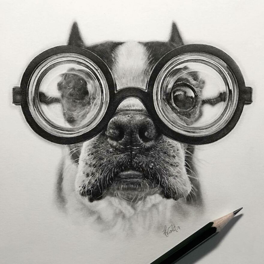This Artist Makes Realistic Portraits Of Animals That Will Leave You Jaw-Dropping