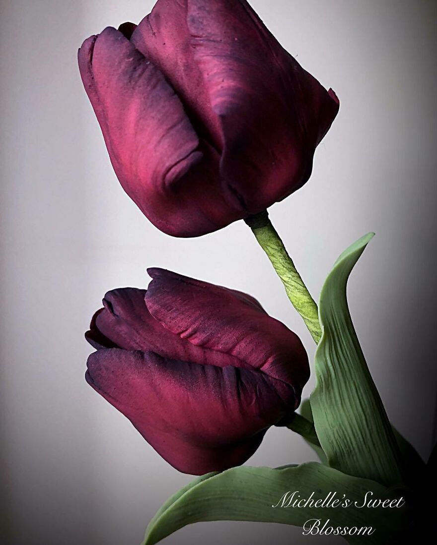 Artist Makes Amazing Realistic Sugar Flowers That Are Hard To Believe Are Not Real