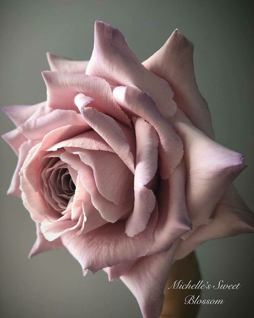 Artist Makes Amazing Realistic Sugar Flowers That Are Hard To Believe Are Not Real