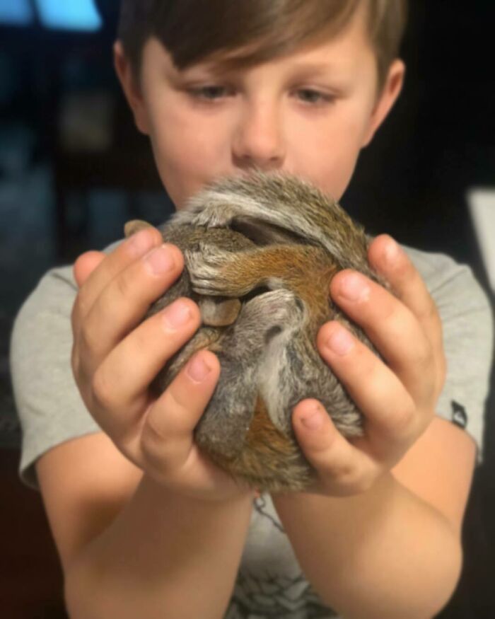Woman Finds A Baby Squirrel On The Sidewalk And Gives Him A Second Chance At Life; Two Years Later, He Still Visits Her Garden Woman Finds A Baby Squirrel On The Sidewalk And Gives Him A Second Chance At Life; Two Years Later, He Still Visits Her Garden
