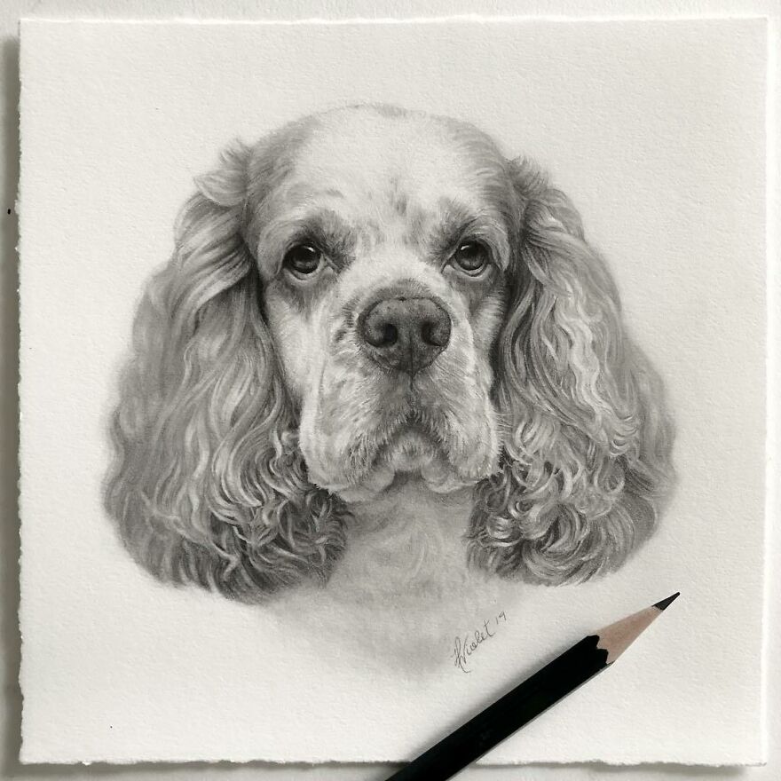 This Artist Makes Realistic Portraits Of Animals That Will Leave You Jaw-Dropping