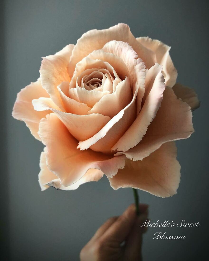 Artist Makes Amazing Realistic Sugar Flowers That Are Hard To Believe Are Not Real