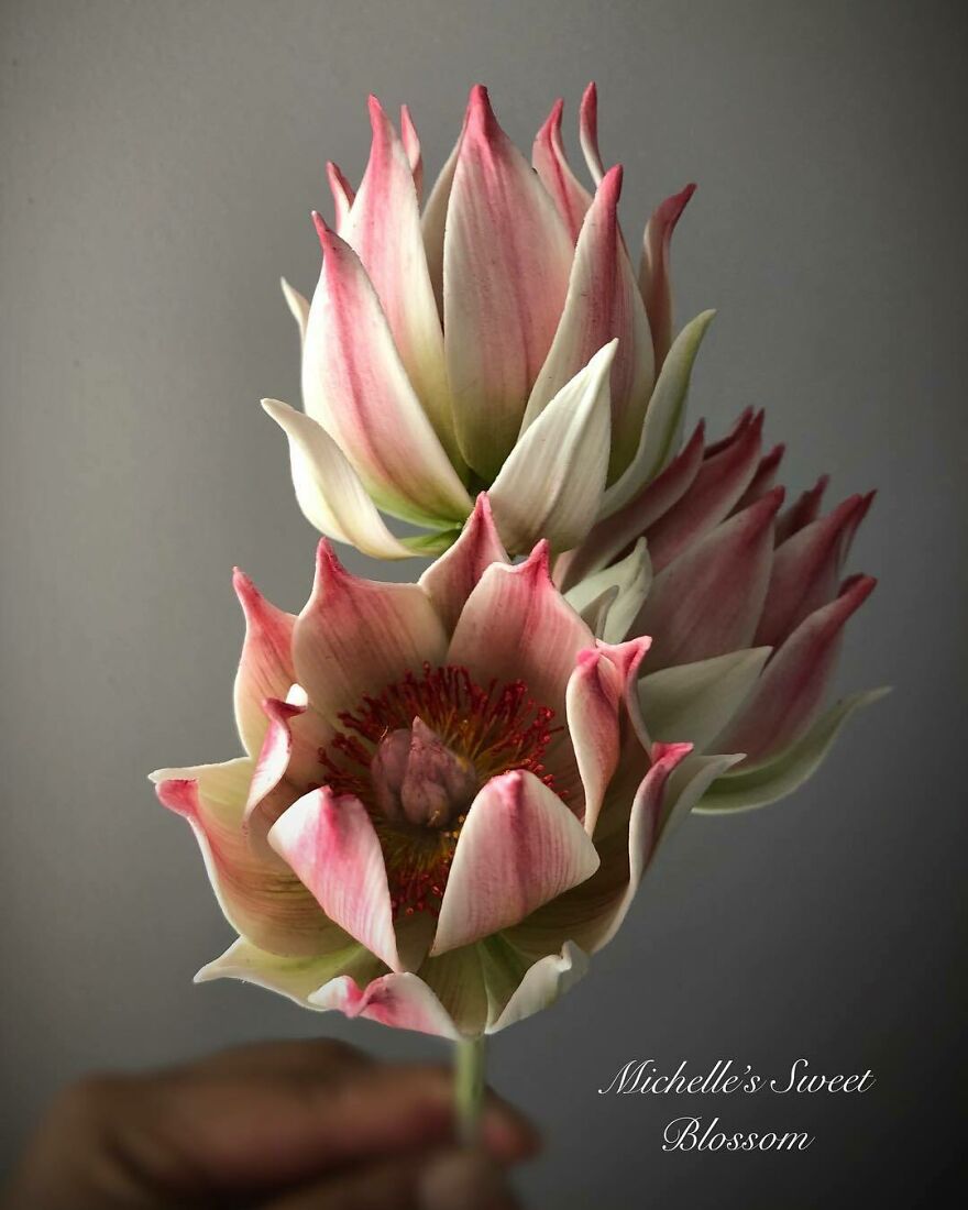 Artist Makes Amazing Realistic Sugar Flowers That Are Hard To Believe Are Not Real