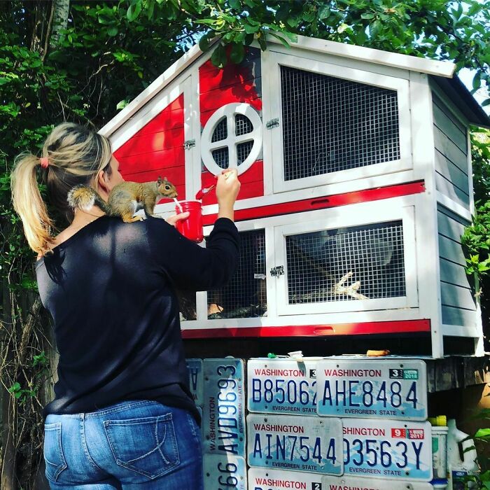 Woman Finds A Baby Squirrel On The Sidewalk And Gives Him A Second Chance At Life; Two Years Later, He Still Visits Her Garden