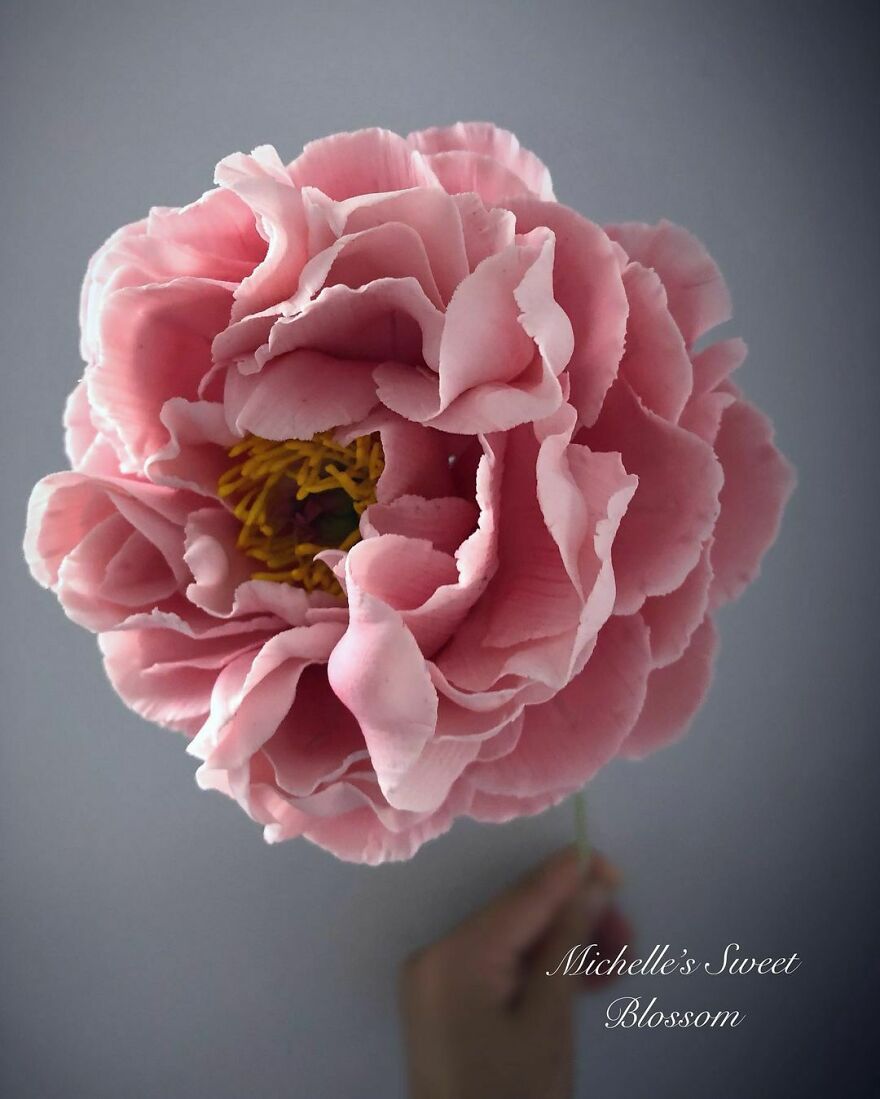 Artist Makes Amazing Realistic Sugar Flowers That Are Hard To Believe Are Not Real