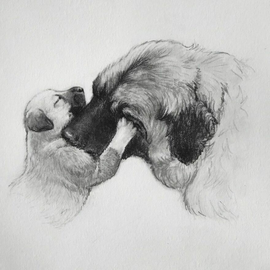 This Artist Makes Realistic Portraits Of Animals That Will Leave You Jaw-Dropping