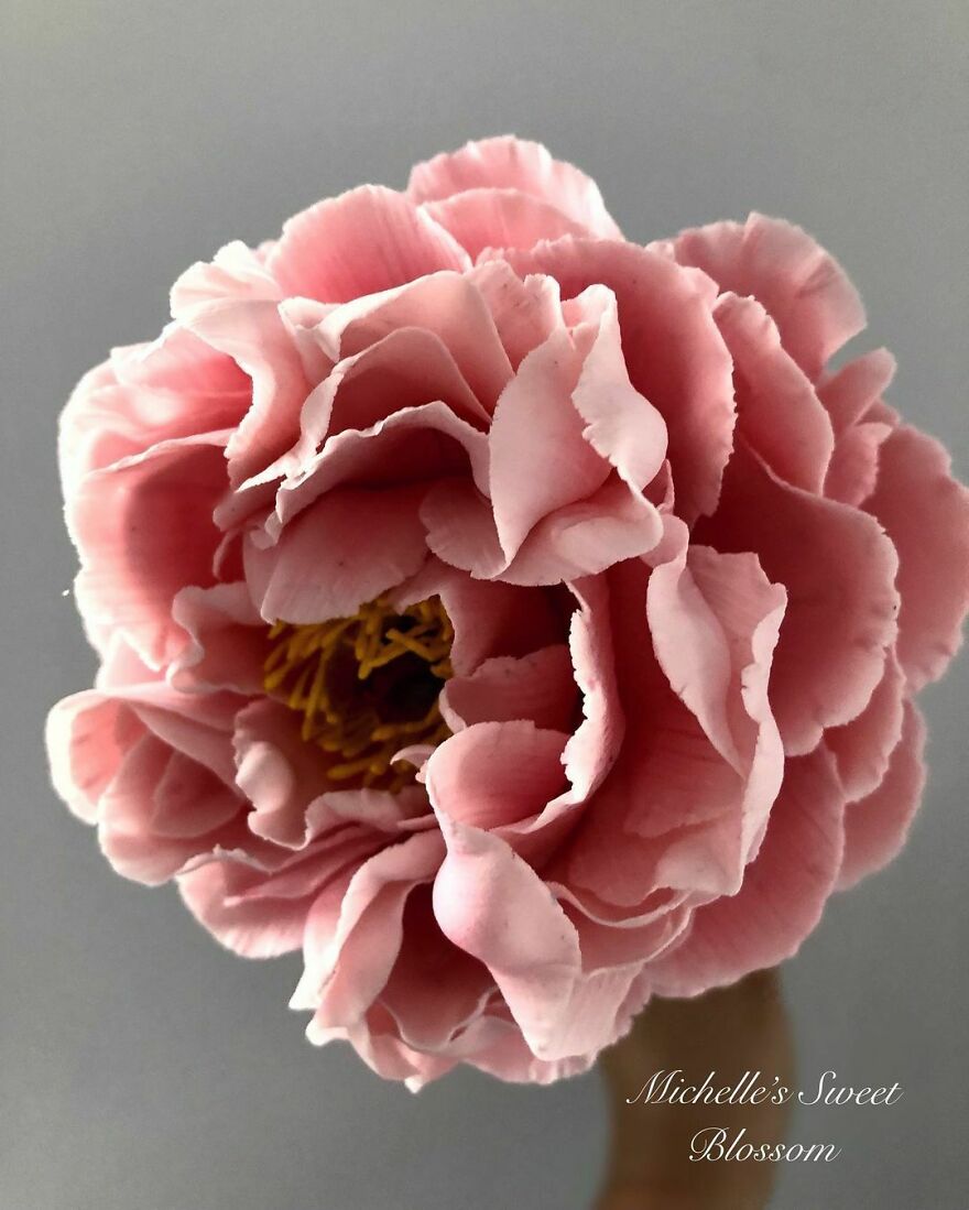 Artist Makes Amazing Realistic Sugar Flowers That Are Hard To Believe Are Not Real