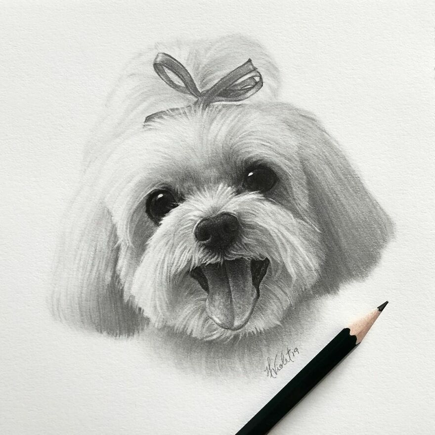 This Artist Makes Realistic Portraits Of Animals That Will Leave You Jaw-Dropping