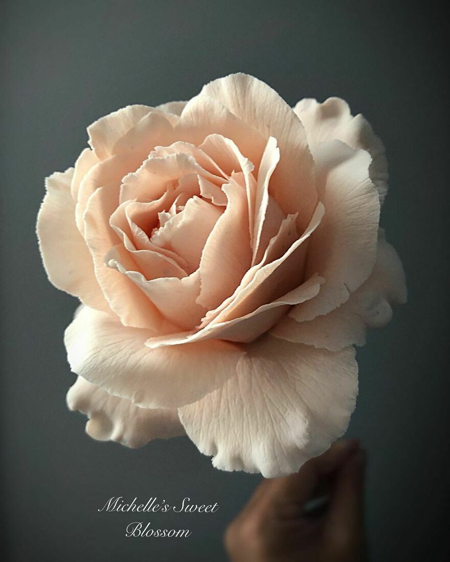 Artist Makes Amazing Realistic Sugar Flowers That Are Hard To Believe Are Not Real