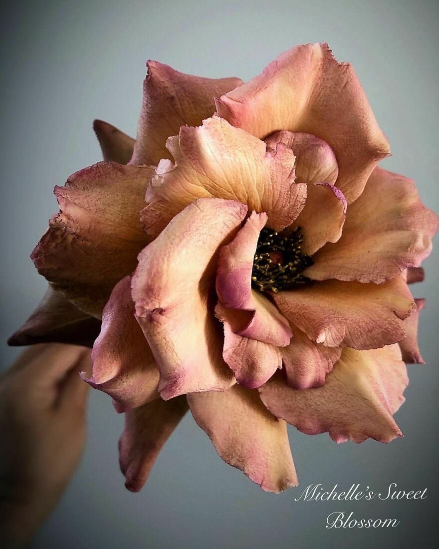 Artist Makes Amazing Realistic Sugar Flowers That Are Hard To Believe Are Not Real