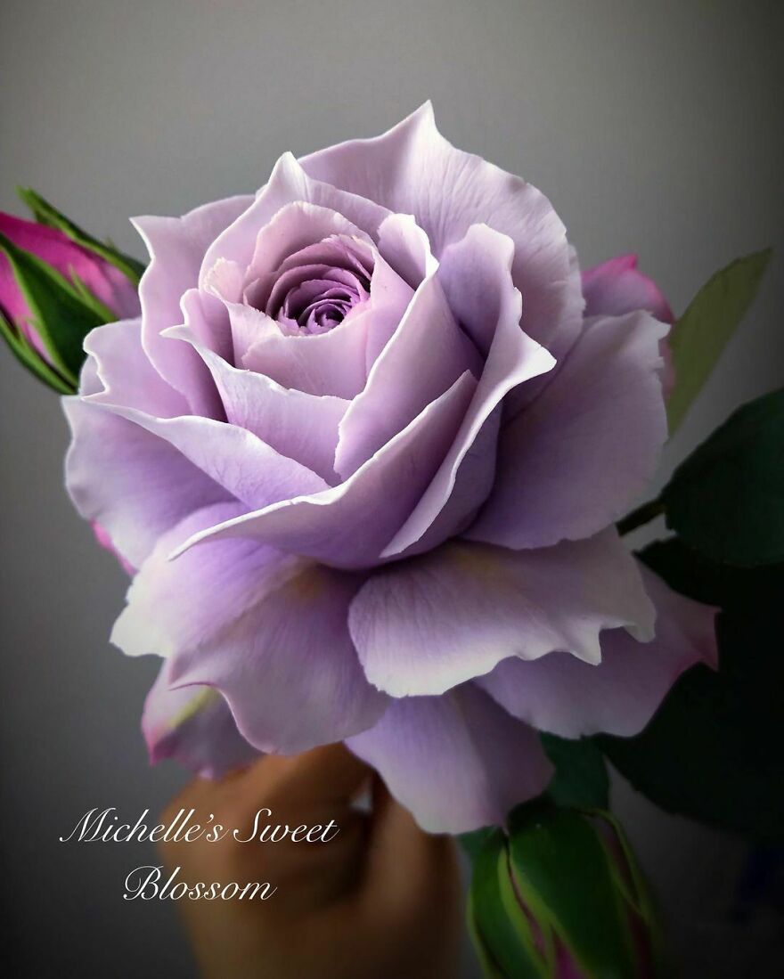 Artist Makes Amazing Realistic Sugar Flowers That Are Hard To Believe Are Not Real