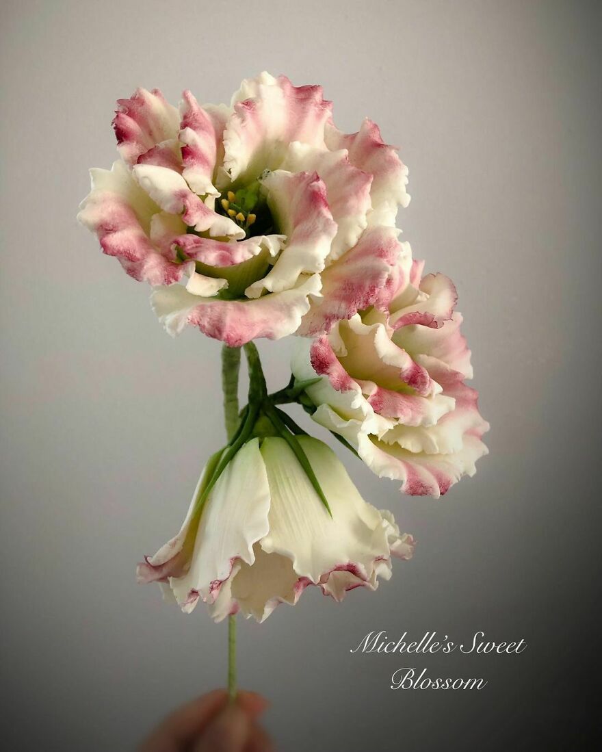 Artist Makes Amazing Realistic Sugar Flowers That Are Hard To Believe Are Not Real