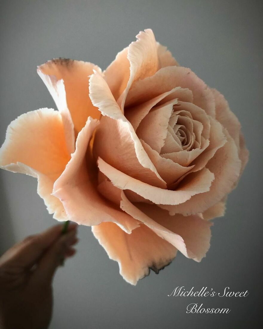 Artist Makes Amazing Realistic Sugar Flowers That Are Hard To Believe Are Not Real