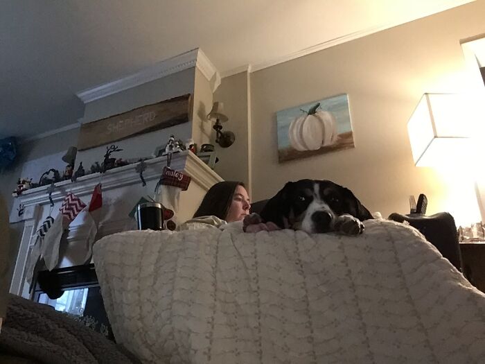 I Dropped My Bone Will You Get It?