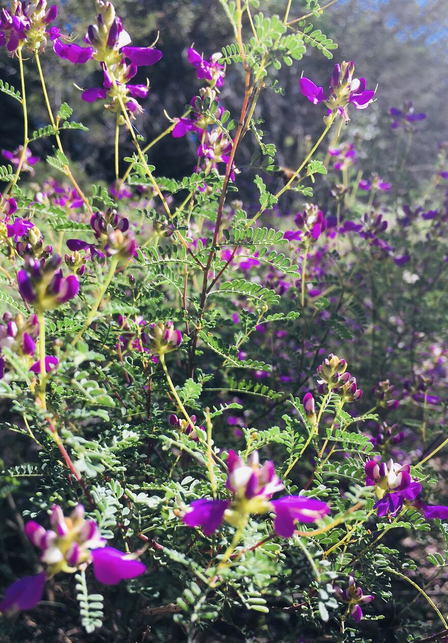 Wildlife Photography Wildlife Photography