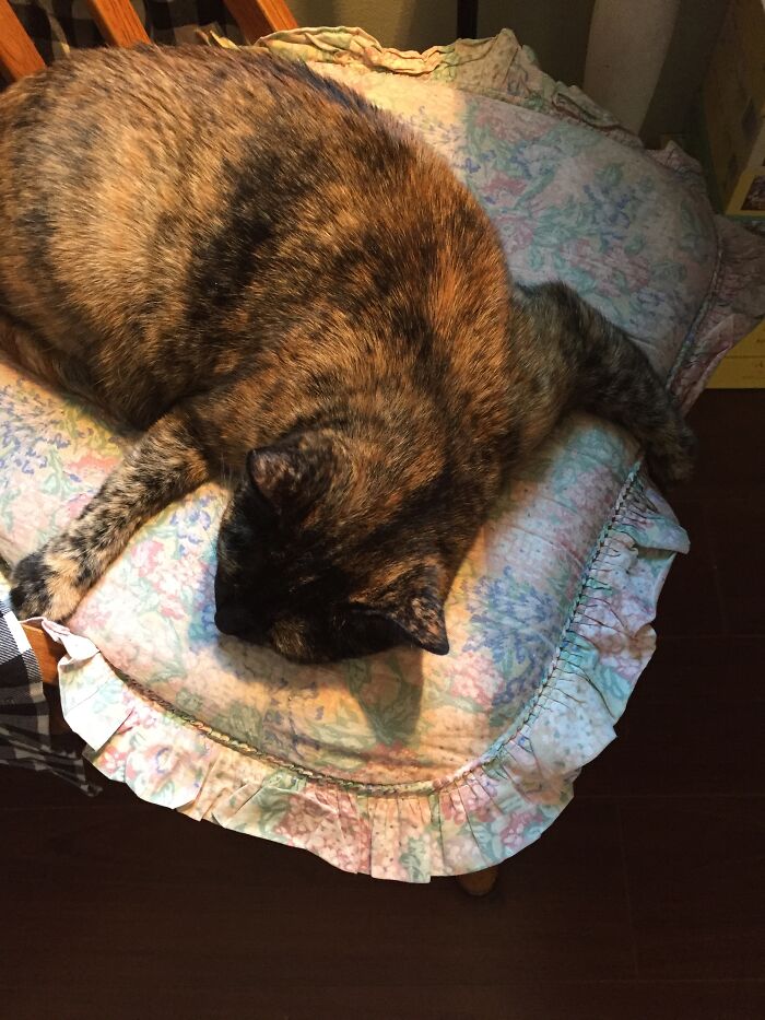 I Just Love Mom’s New Fabric Softener.