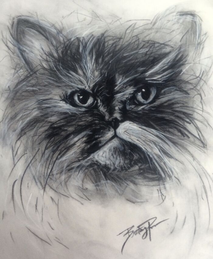 Miss Meow- Beautiful Little Kitty Soul