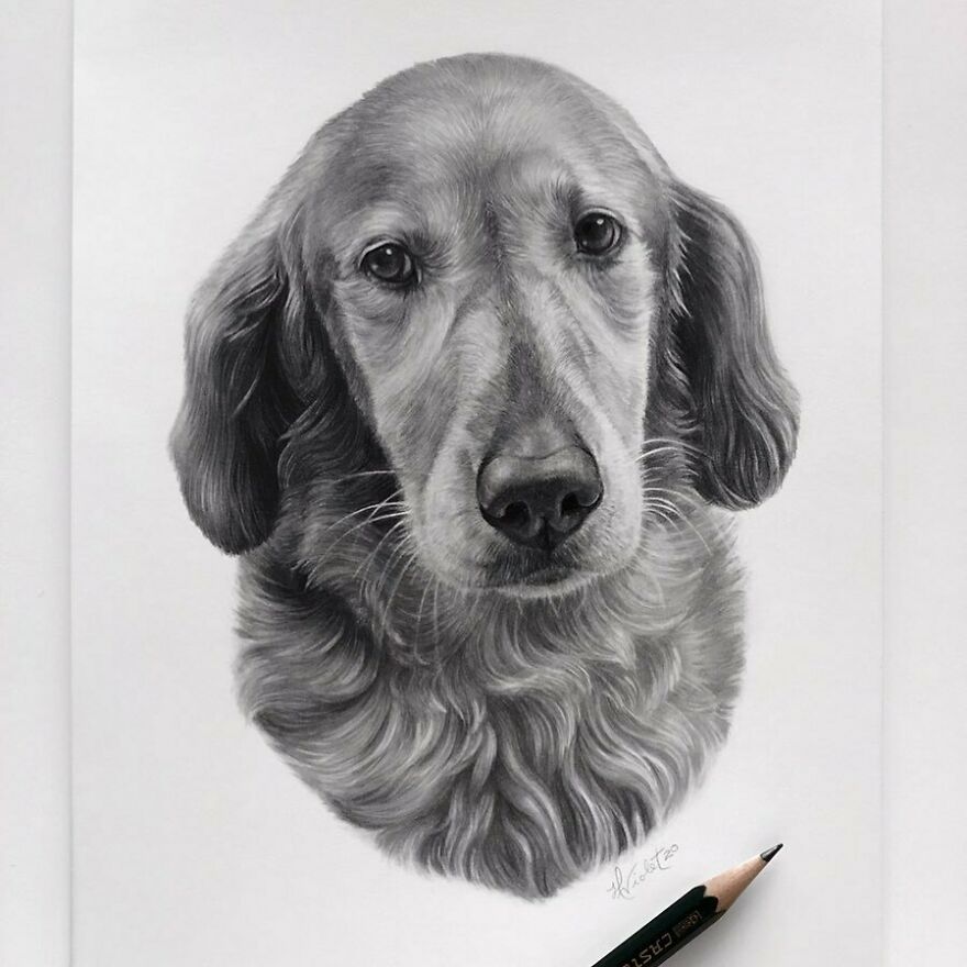 This Artist Makes Realistic Portraits Of Animals That Will Leave You Jaw-Dropping