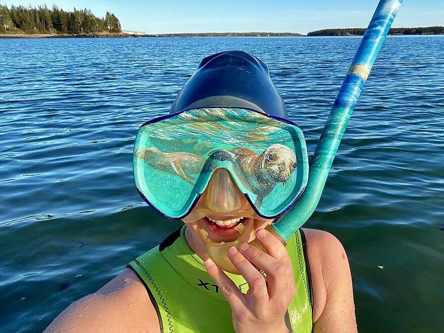 Naturalist Recycles Garbage From The National Park In Beautiful Landscape Paintings That Match The Landscape