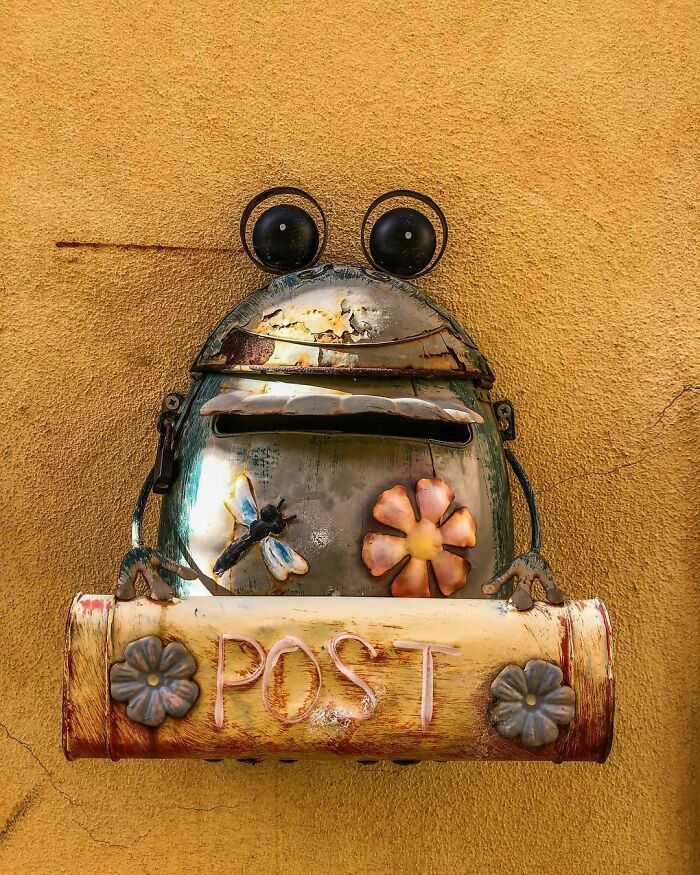 Creative and cool mailbox shaped like a whimsical frog with flowers and a dragonfly on a yellow wall background.