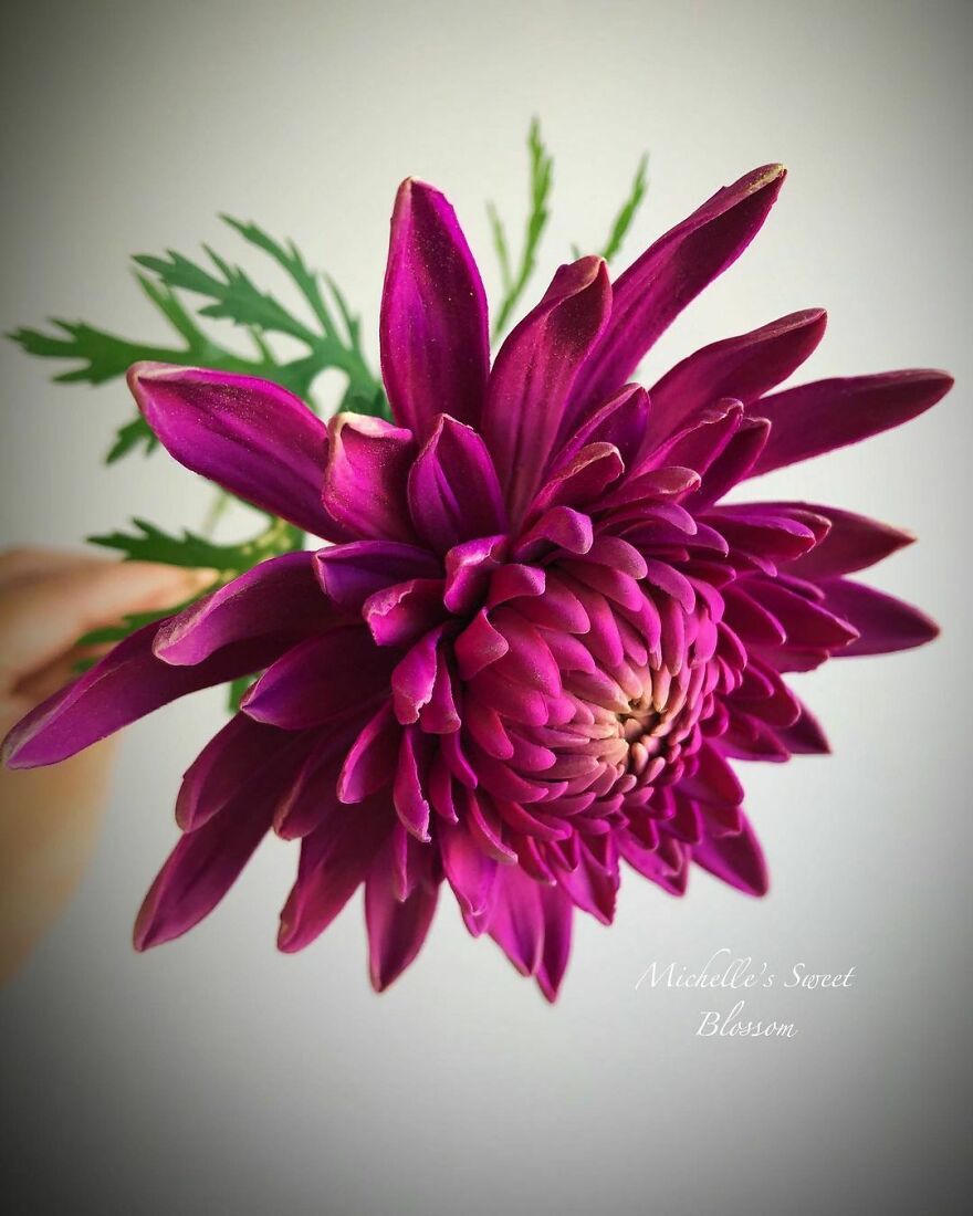 Artist Makes Amazing Realistic Sugar Flowers That Are Hard To Believe Are Not Real