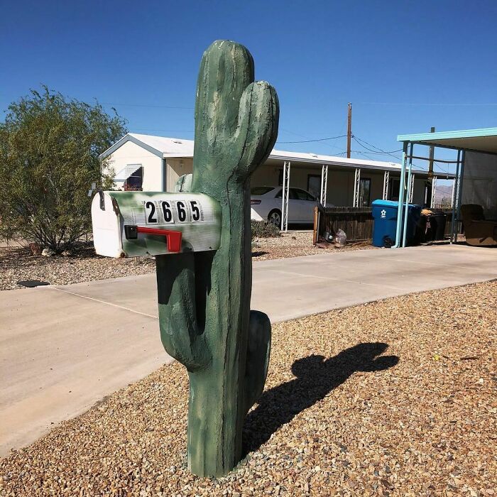Creative and cool mailbox designed like a cactus with house number 2665, standing in a desert yard near a driveway.