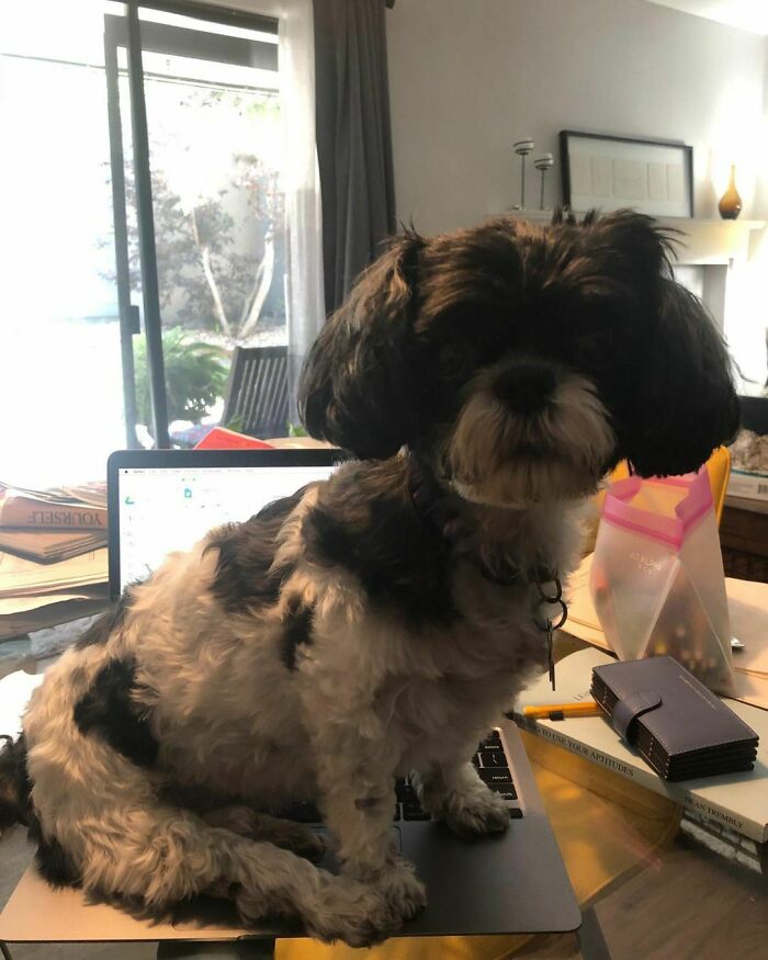 You Think She’s Not Getting Enough Attention?