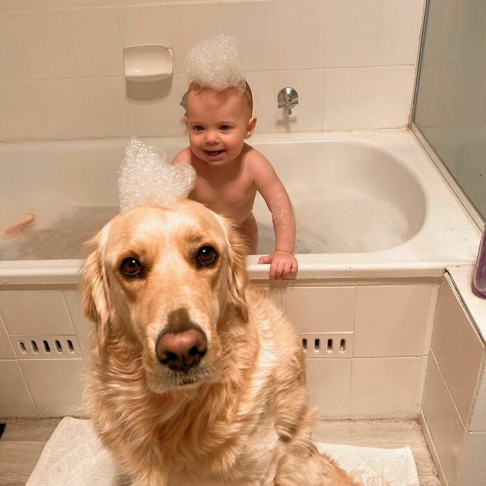 Oh God, She Is Trying To Take My Bubble Crown Isn’t She?!