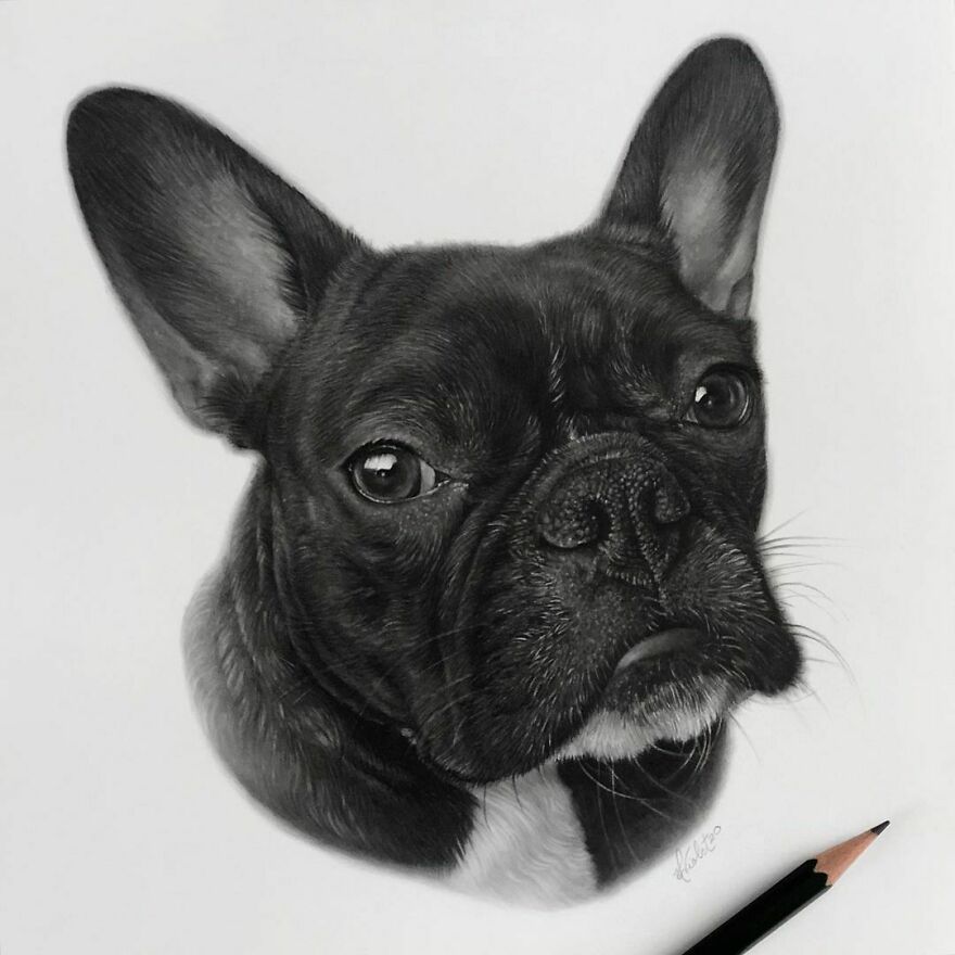 This Artist Makes Realistic Portraits Of Animals That Will Leave You Jaw-Dropping
